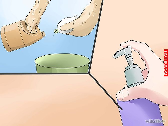 Get Rid of Ants Step 11 Version 3.jpg