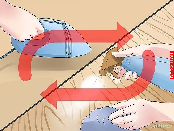 Get Rid of Ants Step 18 Version 3.jpg