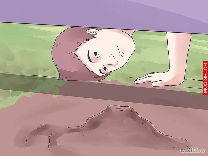 Get Rid of Ants Step 13 Version 3.jpg