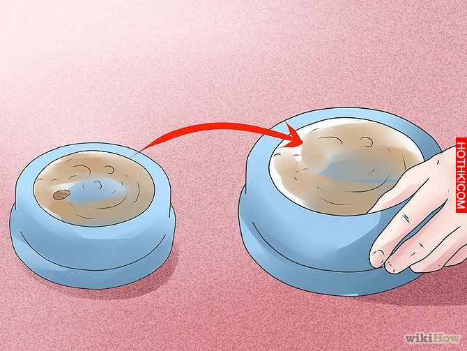 Get Rid of Ants Step 20 Version 2.jpg