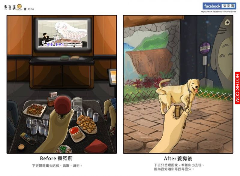 養狗前後生活的改變，本來空洞乾淨的房間，因為毛孩變得明亮溫暖了…最後一張太感人了 ...