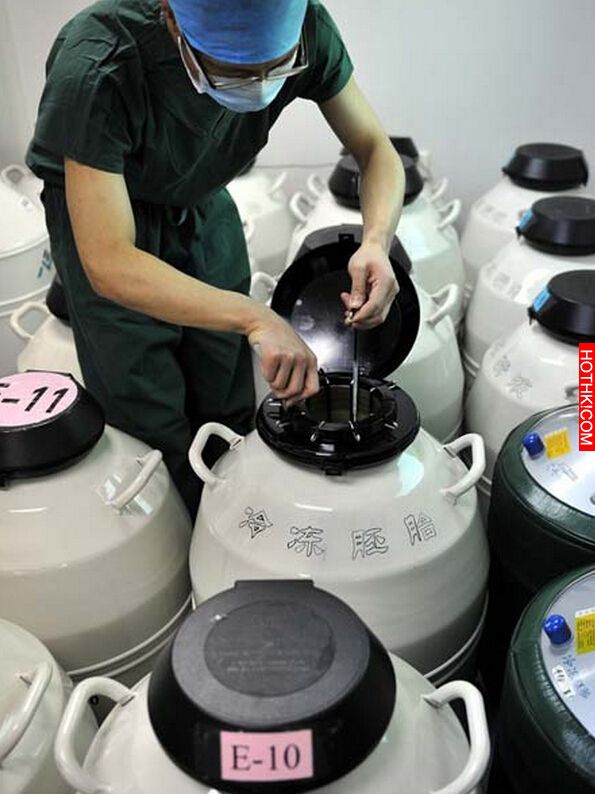 試管嬰兒竟然不是在試管裡進行！知道真相太讓我震驚了...