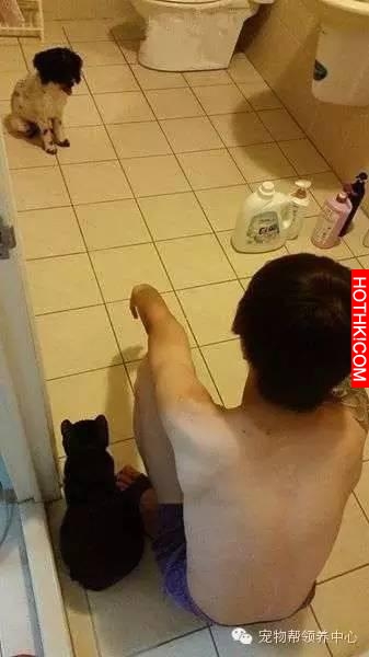 女友撿回流浪狗卻被男友嫌臭，想不到回家後卻發現令人心暖的場景