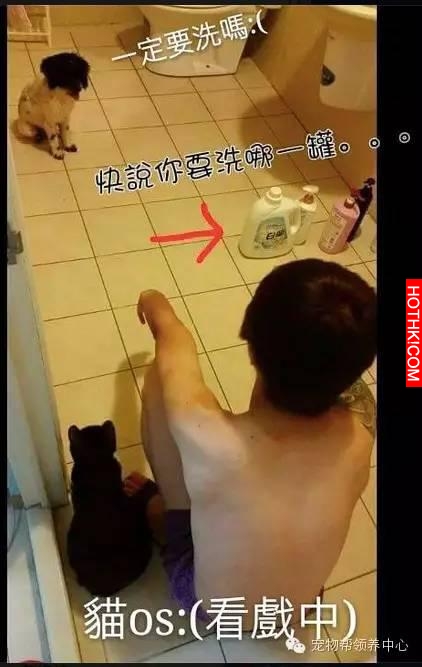 女友撿回流浪狗卻被男友嫌臭，想不到回家後卻發現令人心暖的場景