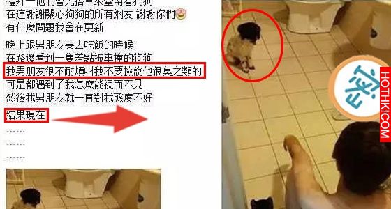 女友撿回流浪狗卻被男友嫌臭,想不到回家竟發現超級暖心的場景!網友看了全融化~! ... 女友撿回流浪狗卻被男友嫌臭,想不到回家竟發現超級暖心的場景!網友看了全融化~! ...