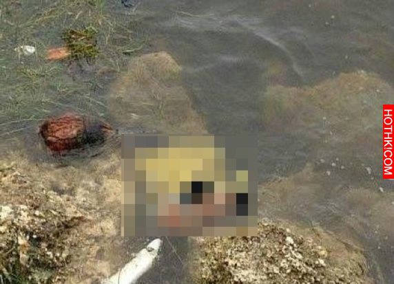 當紅知名藝人雙雙殉情，死況凄涼，慘不忍睹！！