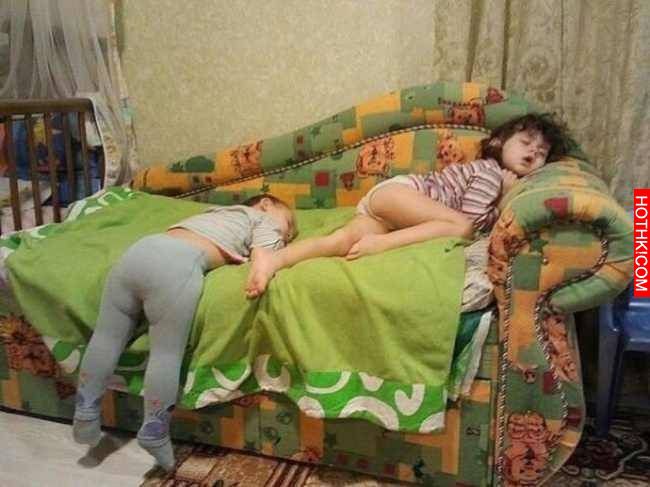 這樣也能睡？20隻柔軟到像是沒有骨頭的瞌睡蟲 (這提醒了我下次出遊滿座時可把誰塞進後 ...