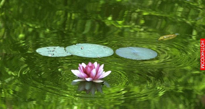 能讓你「終身不發脾氣」的5個字 ，學起來一身受用！