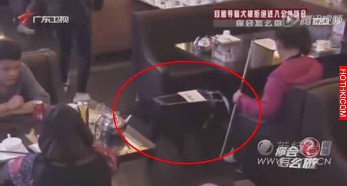 當導盲犬被狠狠拒絕進入餐廳時，暖心的一幕竟發生了！