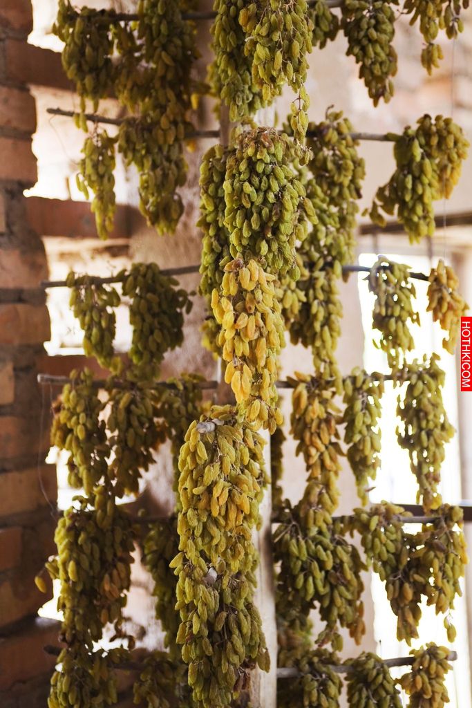 一直把葡萄乾當零食吃，現在才知道，原來我的病都是因為它才改善的!!! ...