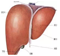 多少人沒有熬過46至55歲生命高危期，生病之前身體會有這些現象！！請注意 ...