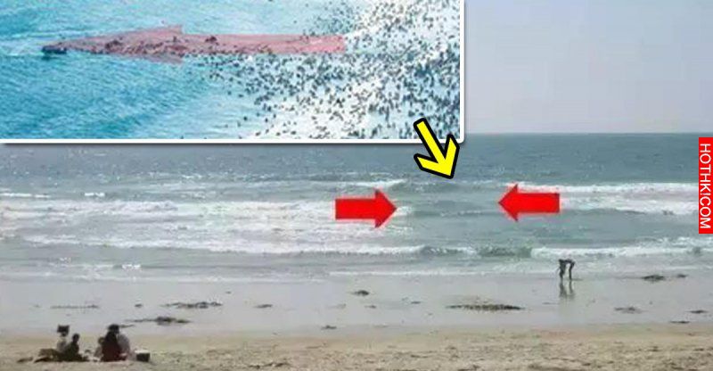 海面海面