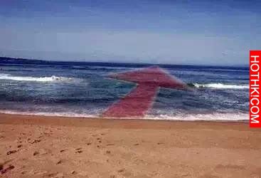 海面海面