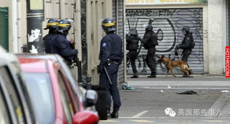 如果不是因為這名警犬「迪索」做了這種事的話，幾十個法國警察可能今早就已經被炸死了 ...