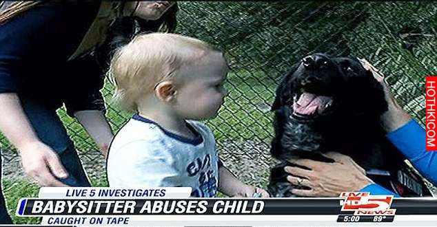主人發現愛犬對保母變得異常兇狠後，將手機藏沙發錄音…錄到的聲音聽了會發抖！ ...