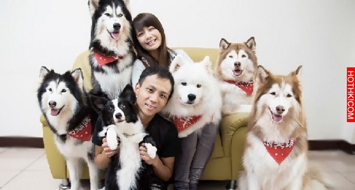 妞專訪：一回家就被毛絨絨的幸福包圍！療癒滿點的哈Dog大家族來啦│妞新聞 ...