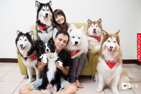 妞專訪：一回家就被毛絨絨的幸福包圍！療癒滿點的哈Dog大家族來啦│妞新聞 ...
