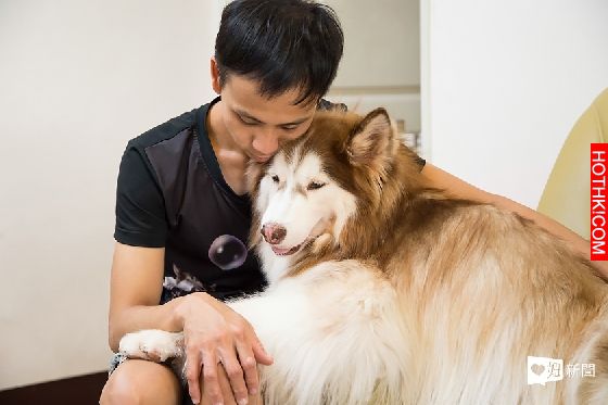 妞專訪：一回家就被毛絨絨的幸福包圍！療癒滿點的哈Dog大家族來啦│妞新聞 ...
