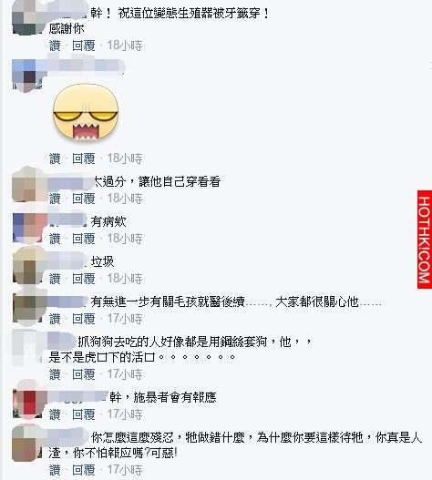 混帳！他用鐵絲穿過狗的生殖器，整個肚子都被刺破．．．太可惡了！ ...