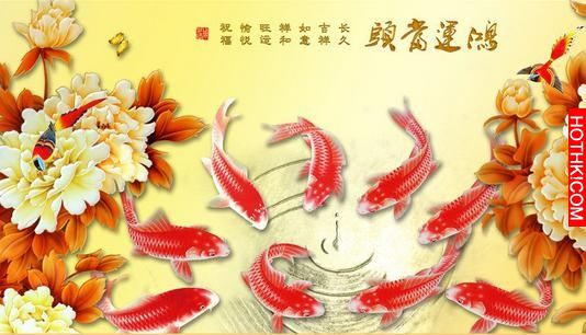 2016霉氣散，鴻運當頭的3大生肖，這個生肖太令人羨慕了