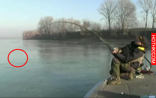 男子在河中釣魚竟然釣上來「食人怪」，太可怕了！當地的人說食人怪沒跳出水面吃掉他真 ...