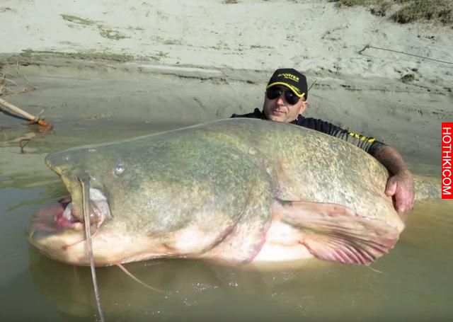 男子在河中釣魚竟然釣上來「食人怪」，太可怕了！當地的人說食人怪沒跳出水面吃掉他真 ...