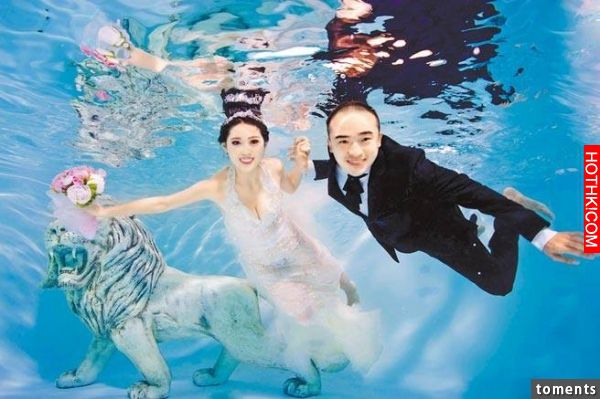 小馬結婚辦喜宴，竟發喜帖先問：「不想跟誰坐！」沒想到最後竟...！讓我都傻眼了！！ ...