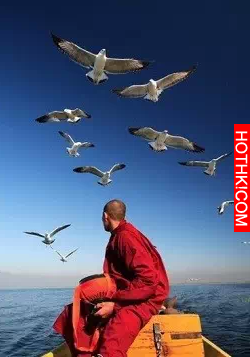 真正的人生從五十開始！五十歲左右的人都該看看