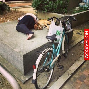 網友拿餅乾誘惑流浪漢的狗狗，想不到這隻狗狗的舉動讓人好想哭... ...