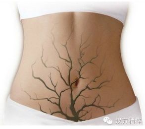 女人子宮是根，胸是葉，臉是花！因此子宮是年輕的泉源！