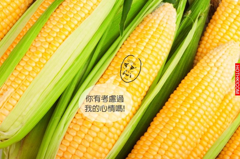 感恩節你還只知道火雞而已嗎？那就遜掉了！到底是什麼活動讓美國人在感恩節都瘋狂!! ...