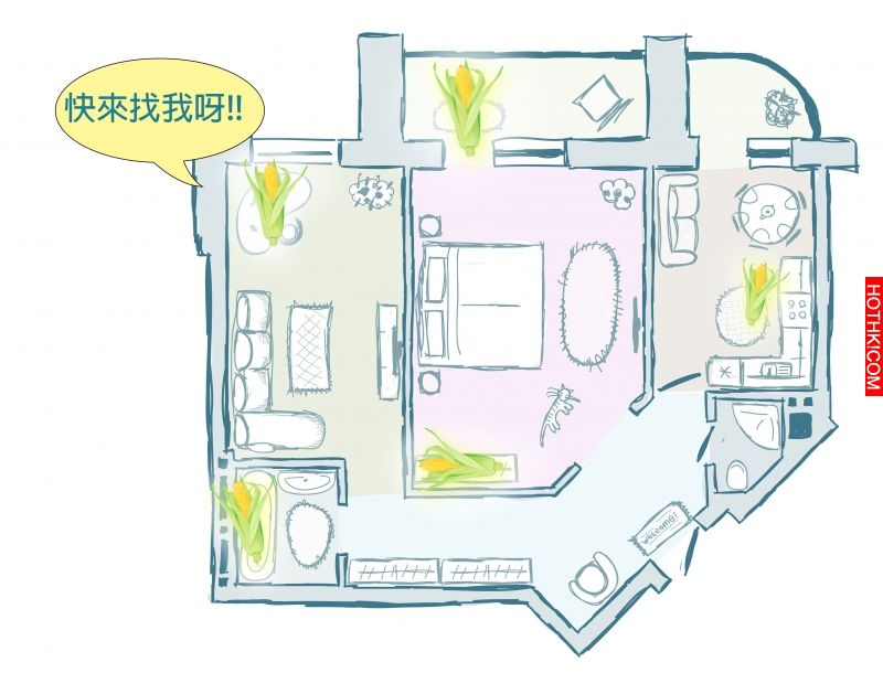 感恩節你還只知道火雞而已嗎？那就遜掉了！到底是什麼活動讓美國人在感恩節都瘋狂!! ...