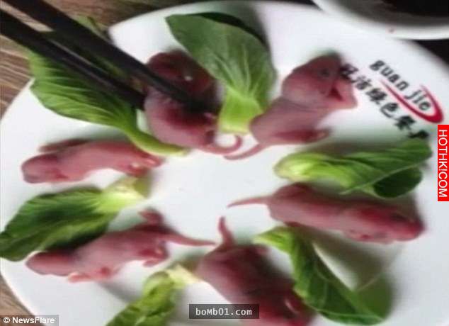 中國人「什麼都吃」的習慣大家可能早就知道，但這個「生吃幼鼠」的影片還是讓我看哭了 ...