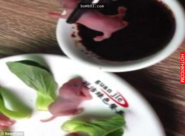 中國人「什麼都吃」的習慣大家可能早就知道，但這個「生吃幼鼠」的影片還是讓我看哭了 ...