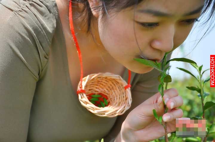 全世界最貴的茶！「口唇茶」。採茶工人一定要是處女，而且是C罩杯以上的！ ...