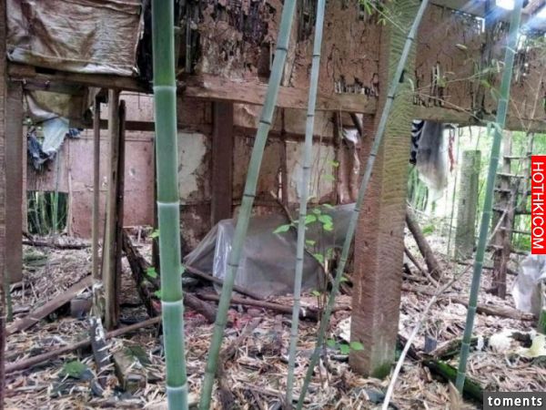 父母守屍守了16年,柱傾牆圮屍體卻不腐爛成了一具乾屍,只因為女兒身上還有一個驚人的 ... 父母守屍守了16年,柱傾牆圮屍體卻不腐爛成了一具乾屍,只因為女兒身上還有一個驚人的 ...