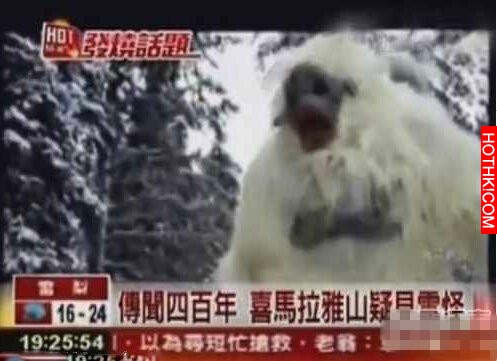 世界十大神秘生物，有一種中國人都知道！