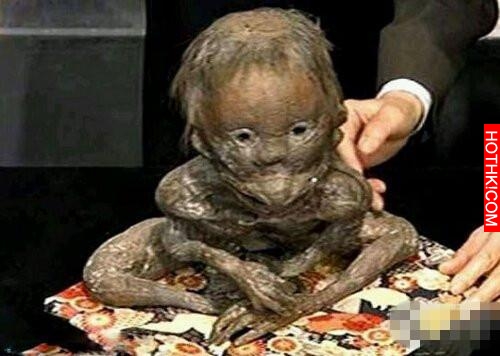 世界十大神秘生物，有一種中國人都知道！