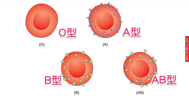 原來得病跟「血型」也有關！什麼血型要注意什麼健康隱患，非常重要！千萬要注意！ ...