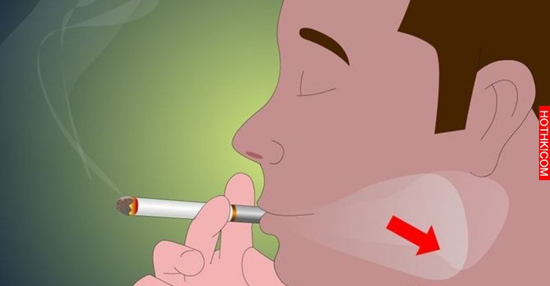 為什麼有些人「吸菸」反而特別長壽？研究人員發現驚人的祕密...看完你還敢不敢不抽煙 ...
