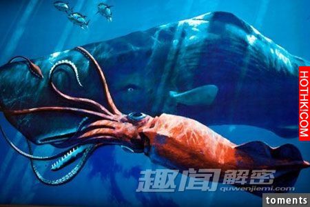 毛骨悚然！地球上真實存在的十大怪獸。。。第九隻是最可怕。。。