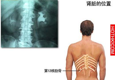 太全了！10種不花錢的「補腎秘方」百試百靈 !!只公開三天，趕快收藏！！ ...