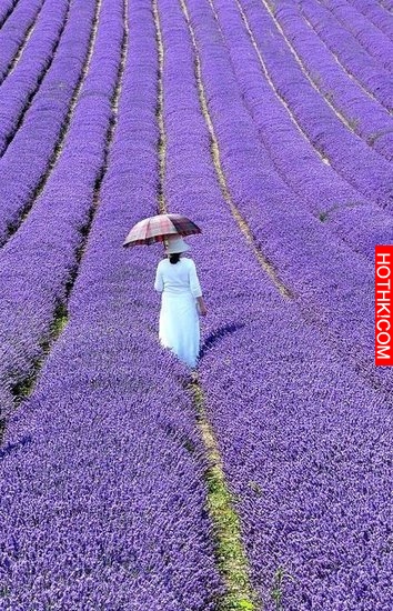 驚天的秘密！原來這一生的成敗都由自己的能量級別決定！