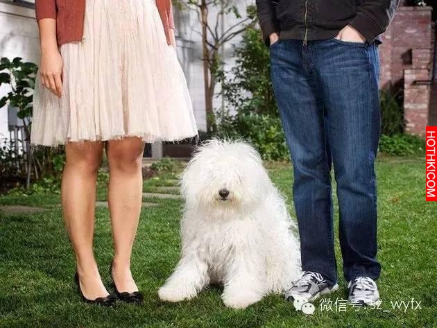 她不美不瘦不整容，如何嫁了500億美元的富豪扎克伯格？