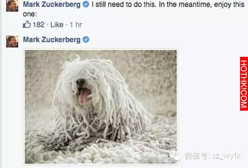她不美不瘦不整容，如何嫁了500億美元的富豪扎克伯格？