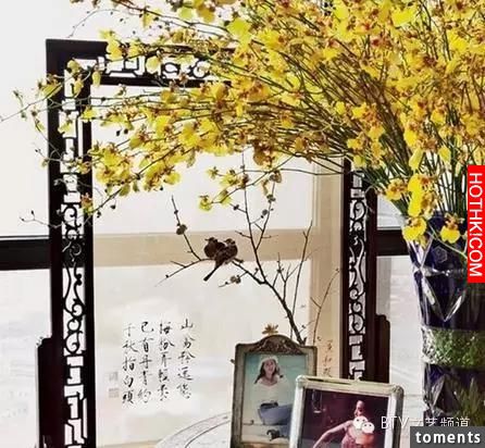 看完劉嘉玲1.2億的豪宅，王艷、張庭、何晟銘都笑了！