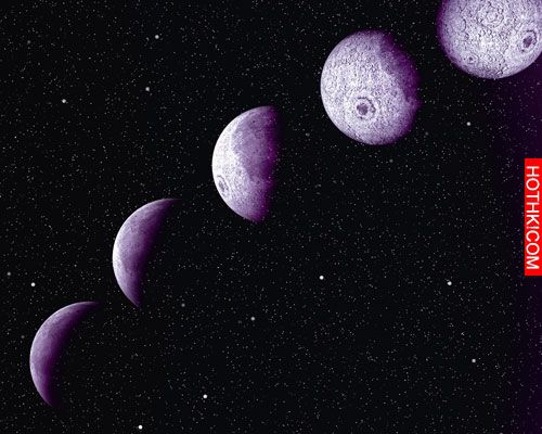 【塔羅】12星座12月塔羅運勢(下)