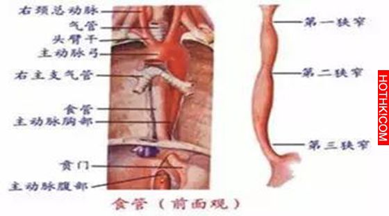 一定要知道！各種癌症的早期信號，很多人都是因為發現太晚！ ...