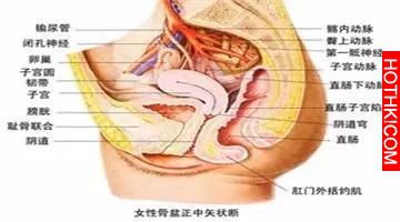 一定要知道！各種癌症的早期信號，很多人都是因為發現太晚！ ...