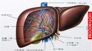 各種癌症的早期信號，你知道嗎